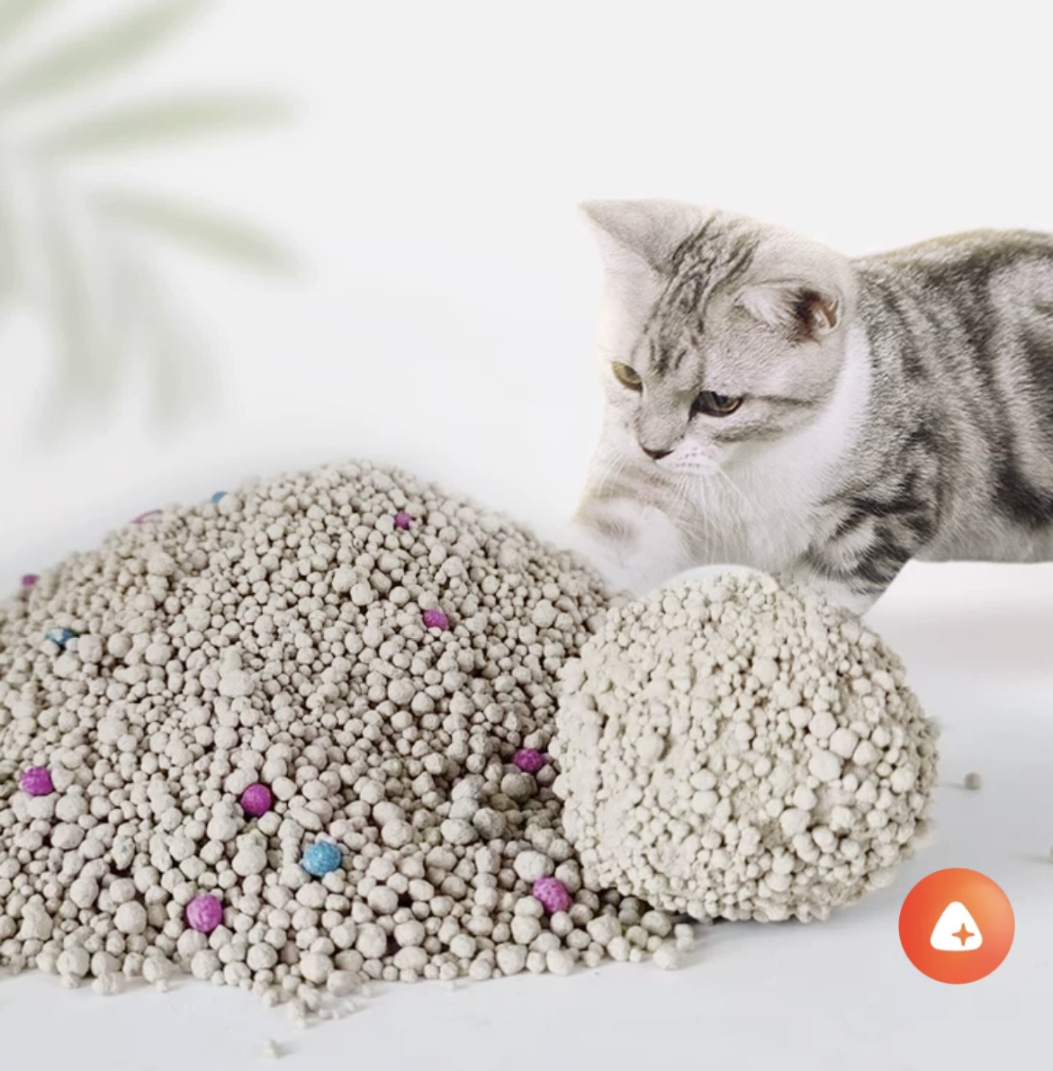 bentonite cat litter