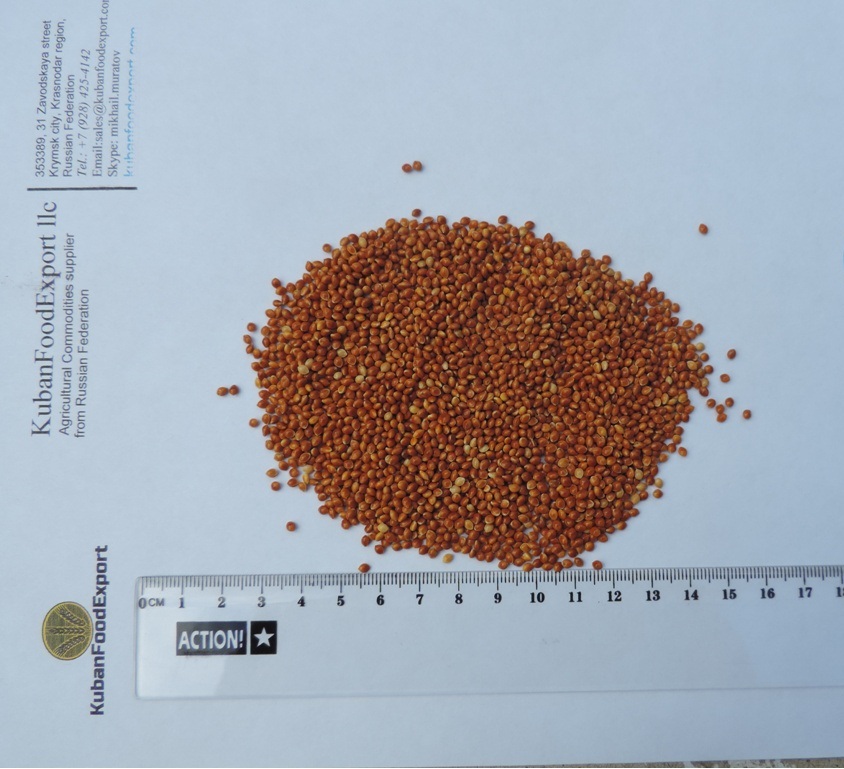 Red millet