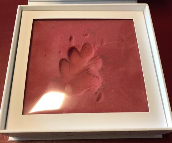 Pet pawprint memorial box